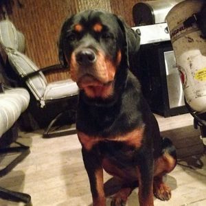 Meet your Posher, Sherri